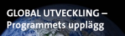 Global utveckling programmets upplägg